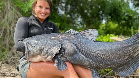 noodlenag|We Caught a GIANT! Noodling and Hand Fishing Flathead Catfish.